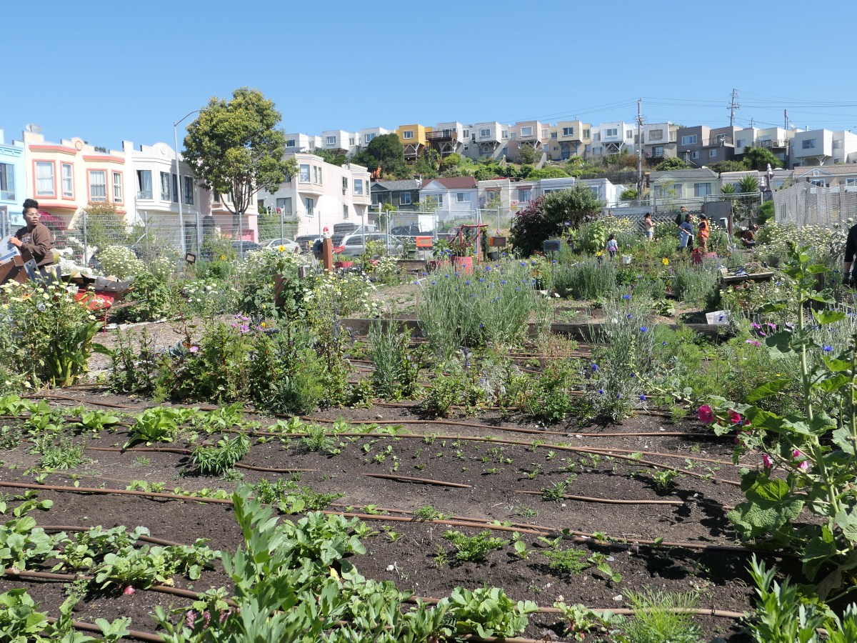 Stay Informed: The Bayview-Hunters Point’s sea-level&nbsp;rise