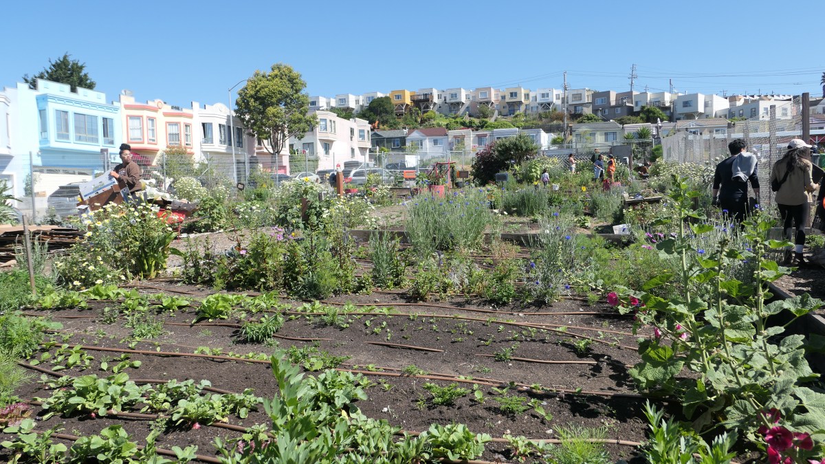 Stay Informed: The Bayview-Hunters Point’s sea-level&nbsp;rise